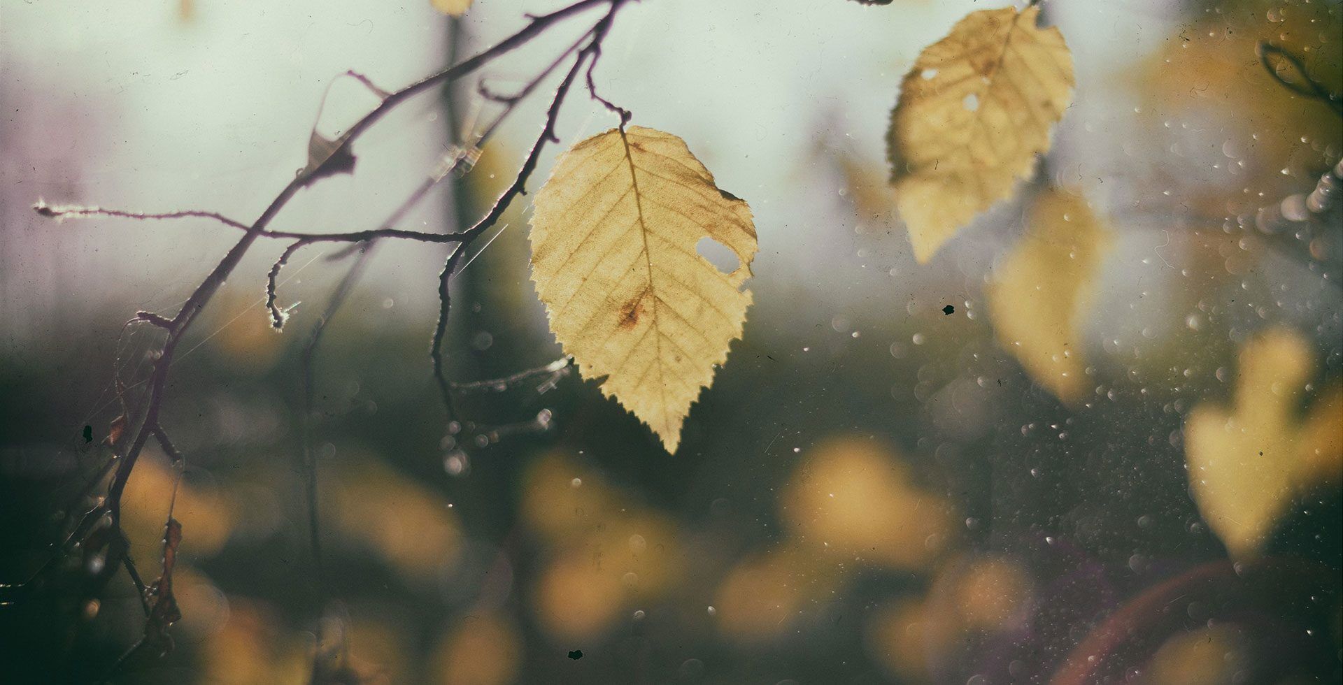 Non-surgical pain relief