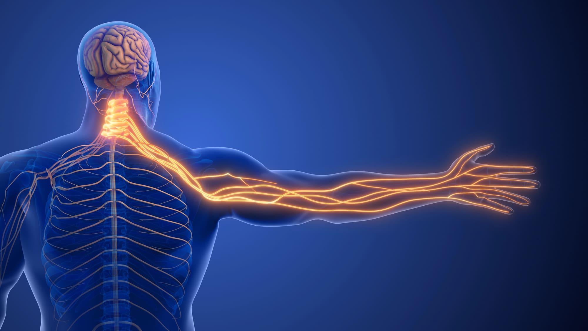 Florida Spine & Pain Center – Nerve Pain & Neuropathy Care Nerve pain and neuropathy care
