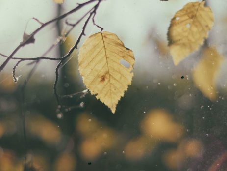 Non-surgical pain relief